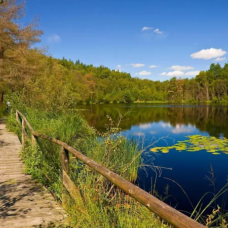 アパート Jette - Modernes An Der Mueritz