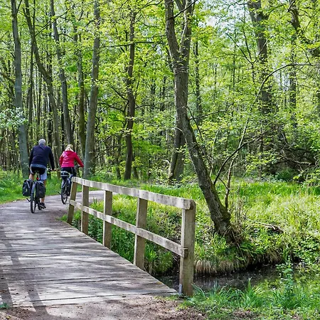 アパート Jette - Modernes An Der Mueritz ヴァーレン